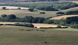 Monitor Farm Monday: Preparing for ELMS - understanding 'natural capital' and establishing a beneficial partnership